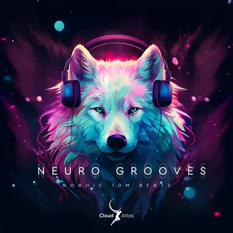 NeuroGrooves, before the redesign