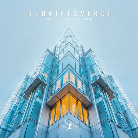 Bedriftsverdi, before the redesign